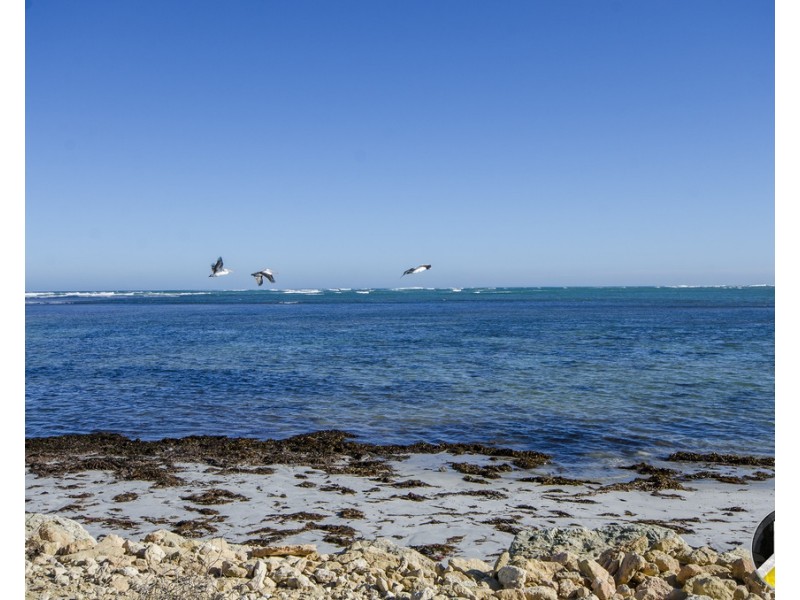 36 Newton Road, Pelican Point SA 5291