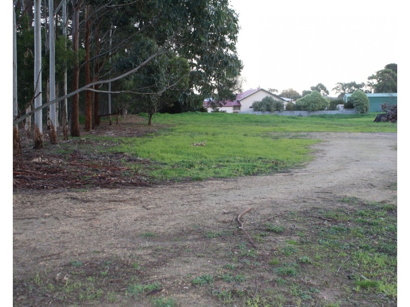 2 Rendelsham Road, Millicent SA 5280