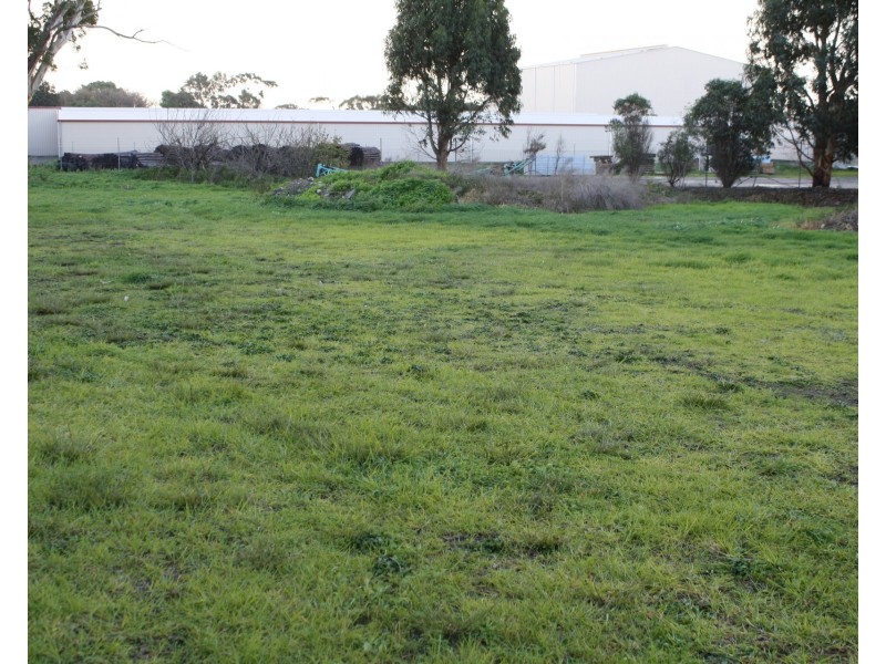 2 Rendelsham Road, Millicent SA 5280