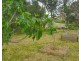 18 Railway Terrace, Kalangadoo SA 5278