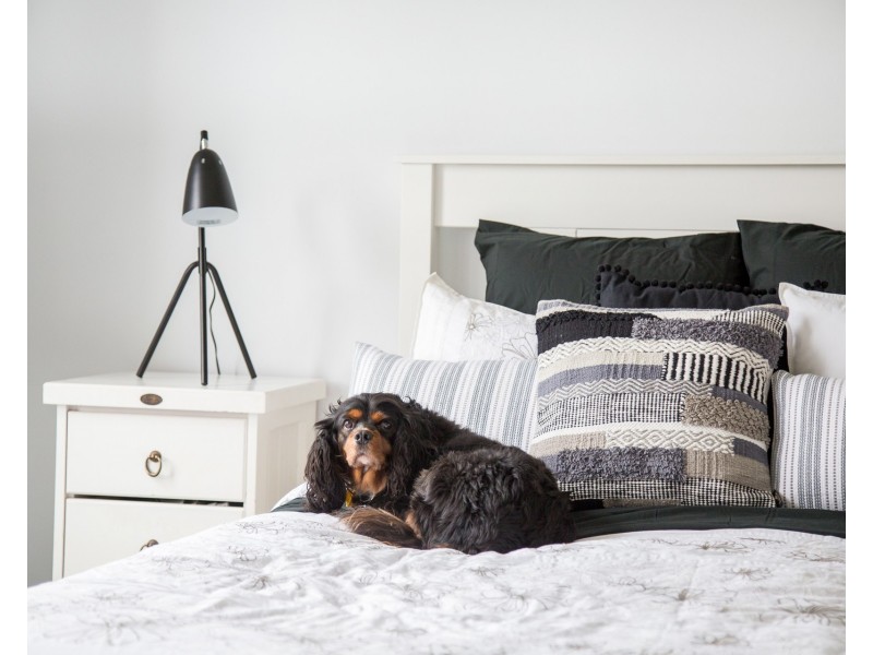 5 Lumidin Boulevard, Mount Gambier SA 5290