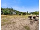 83 Lake Edward Road, Glencoe SA 5291