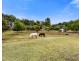 83 Lake Edward Road, Glencoe SA 5291