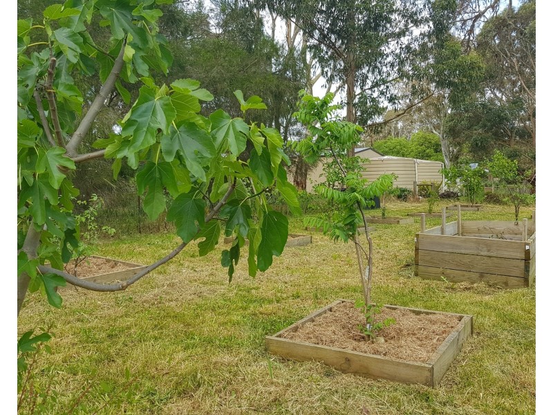 18 Railway Terrace, Kalangadoo SA 5278