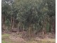 Koenigs Road, Myamyn VIC 3304