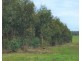 Koenigs Road, Myamyn VIC 3304