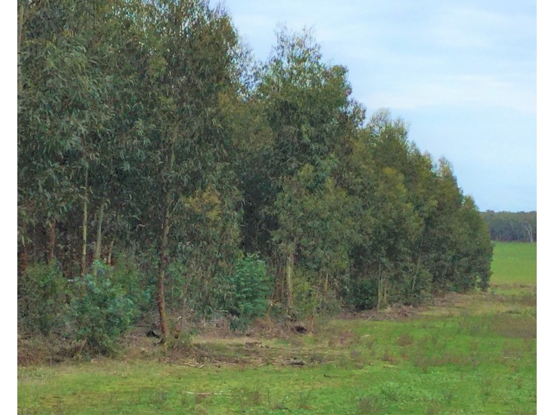 Koenigs Road, Myamyn VIC 3304