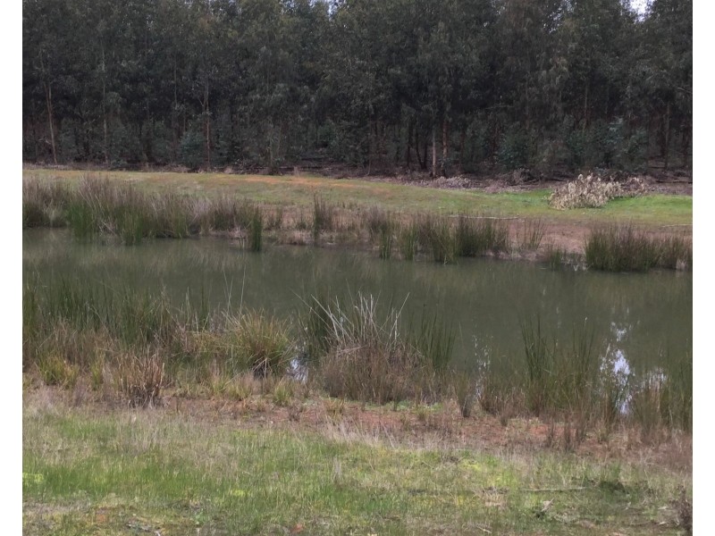 Koenigs Road, Myamyn VIC 3304