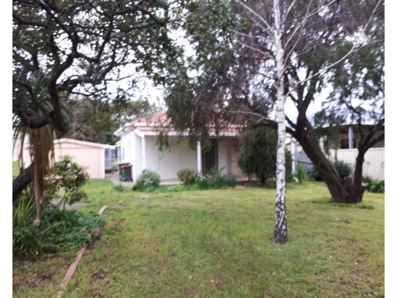 167 Mount Gambier Road, Millicent SA 5280