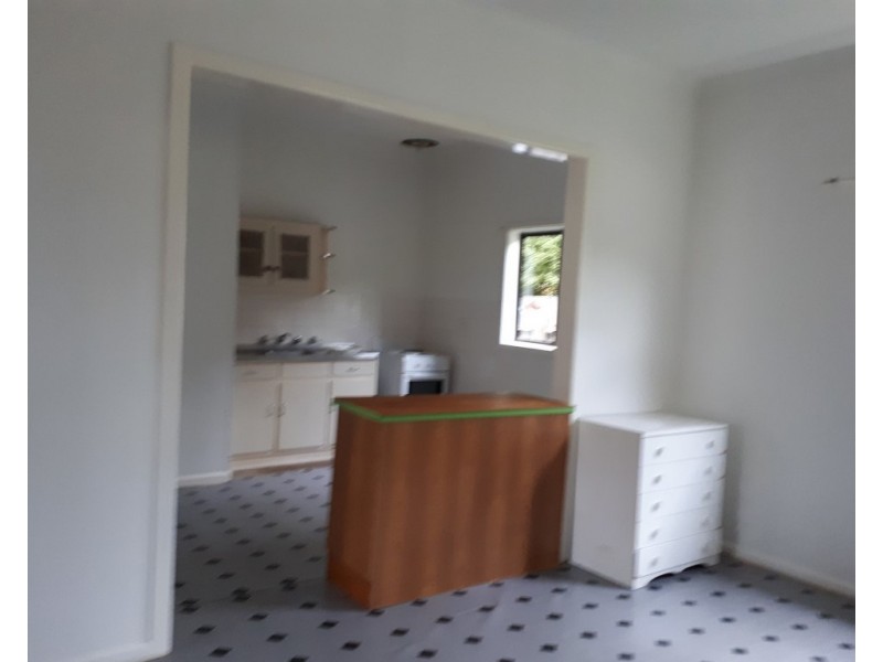 167 Mount Gambier Road, Millicent SA 5280