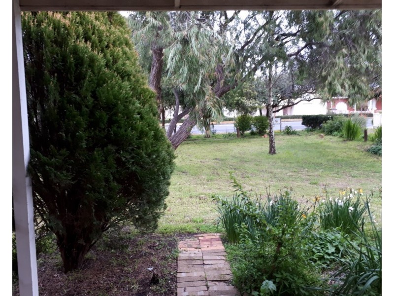 167 Mount Gambier Road, Millicent SA 5280