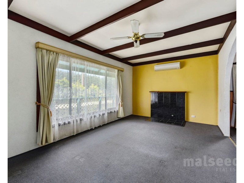 551 Mount Burr Road, Millicent SA 5280