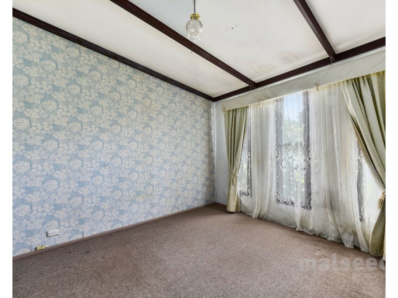 551 Mount Burr Road, Millicent SA 5280