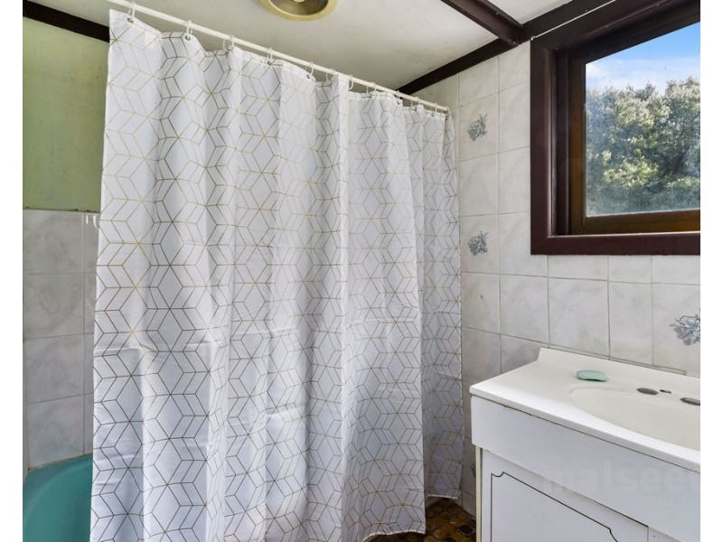 551 Mount Burr Road, Millicent SA 5280