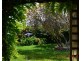 11 Alexander Square, Millicent SA 5280