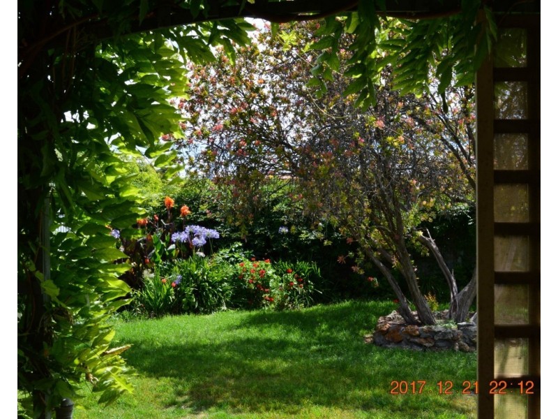 11 Alexander Square, Millicent SA 5280