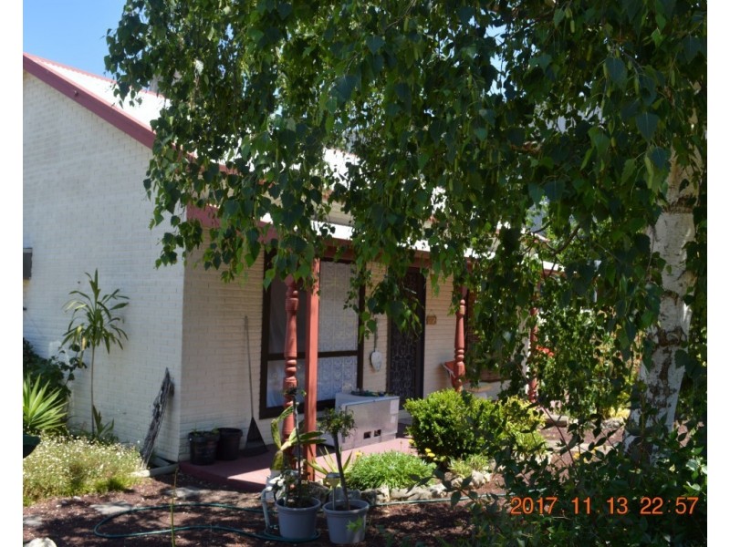 6 Olive Street, Millicent SA 5280