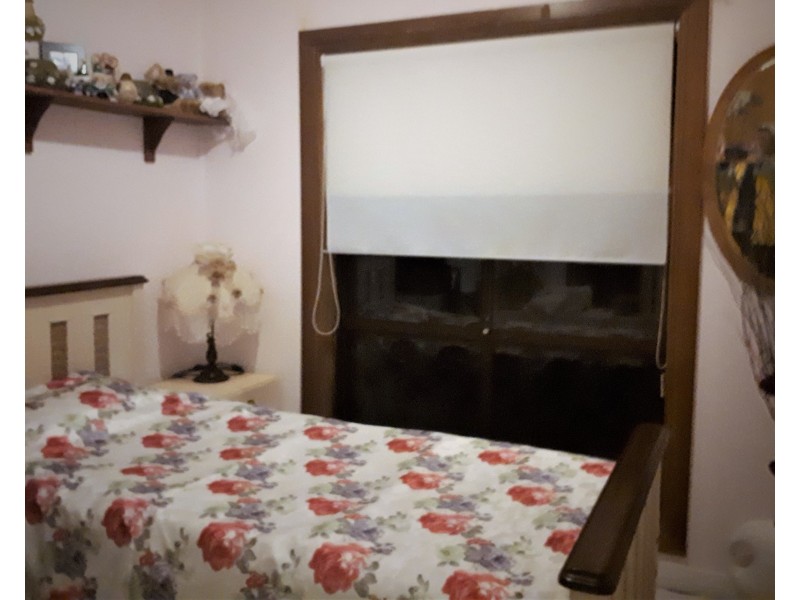 6 Olive Street, Millicent SA 5280