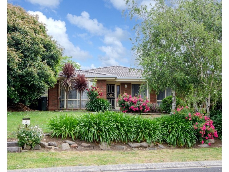 3 Montrose Court, Mount Gambier SA 5290