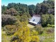 585 Mount Burr Road, Millicent SA 5280