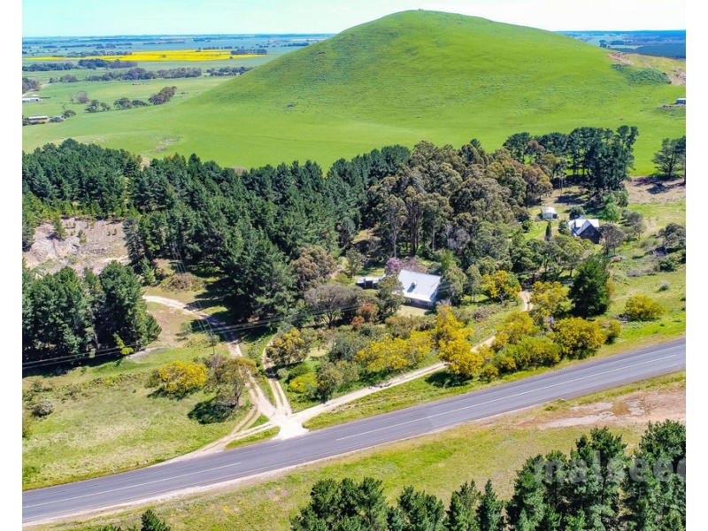 585 Mount Burr Road, Millicent SA 5280