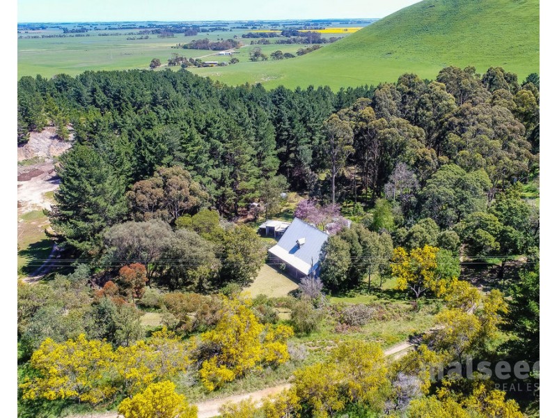 585 Mount Burr Road, Millicent SA 5280