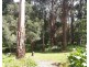 585 Mount Burr Road, Millicent SA 5280