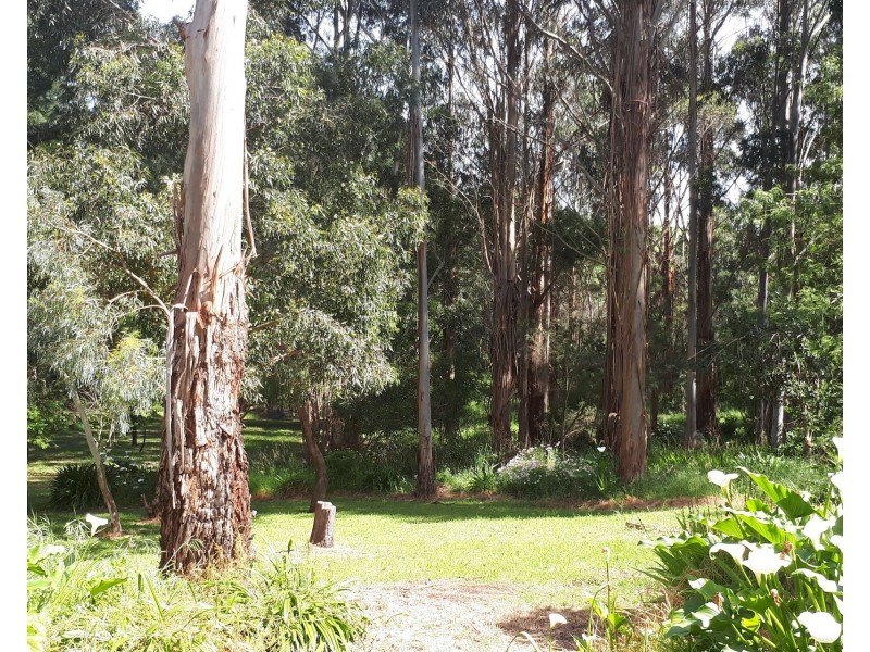 585 Mount Burr Road, Millicent SA 5280
