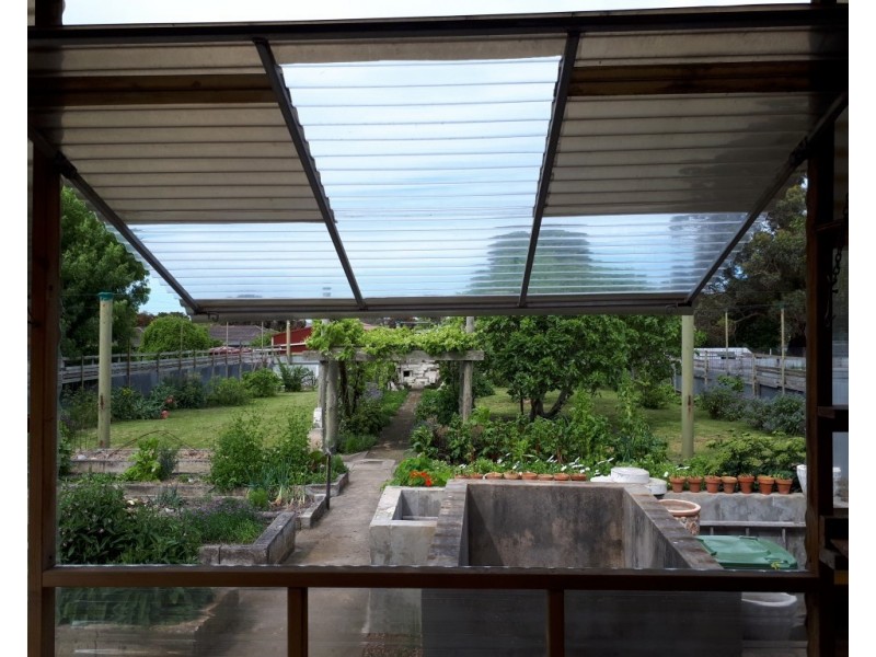 115 Williams Road, Millicent SA 5280