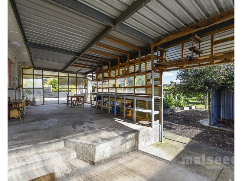 115 Williams Road, Millicent SA 5280