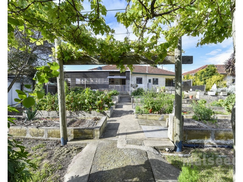 115 Williams Road, Millicent SA 5280