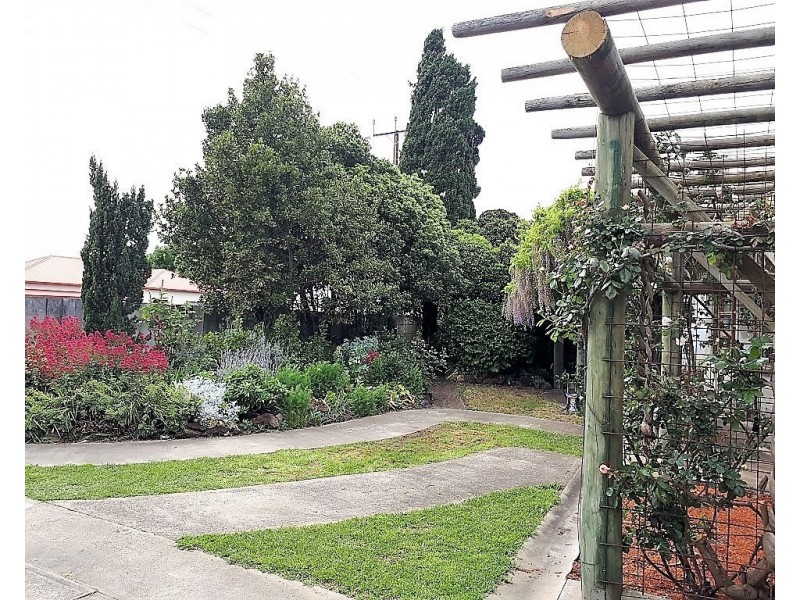 115 Williams Road, Millicent SA 5280