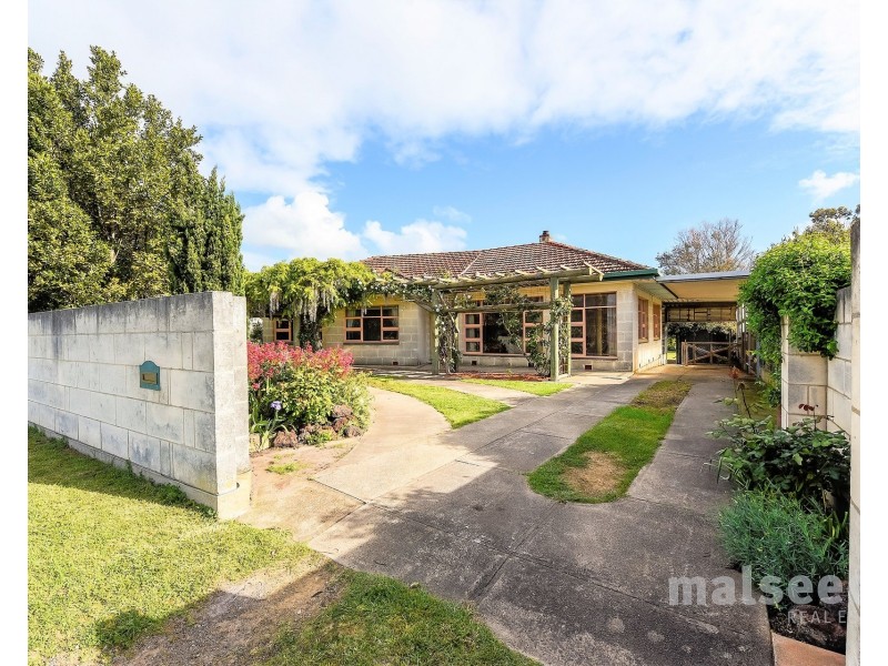 115 Williams Road, Millicent SA 5280