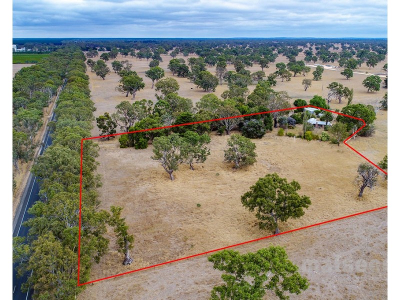 16600 Riddoch Highway, Penola SA 5277