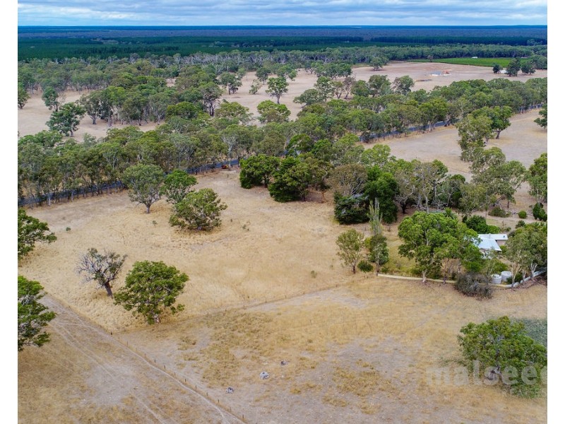 16600 Riddoch Highway, Penola SA 5277