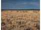 Anness Road, Tantanoola SA 5280