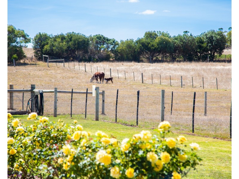 96 Warreanga Road, Wye SA 5291