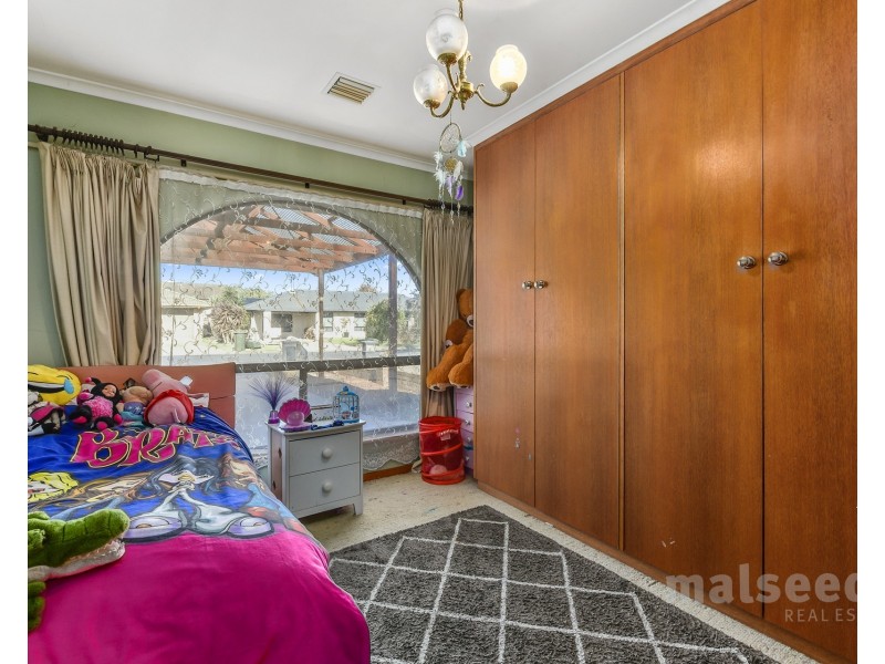 3 Dino Place, Mount Gambier SA 5290