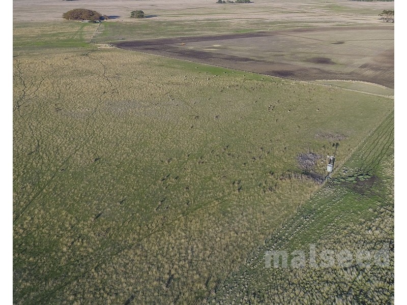 Kongorong – Tantanoola Road, Tantanoola SA 5280