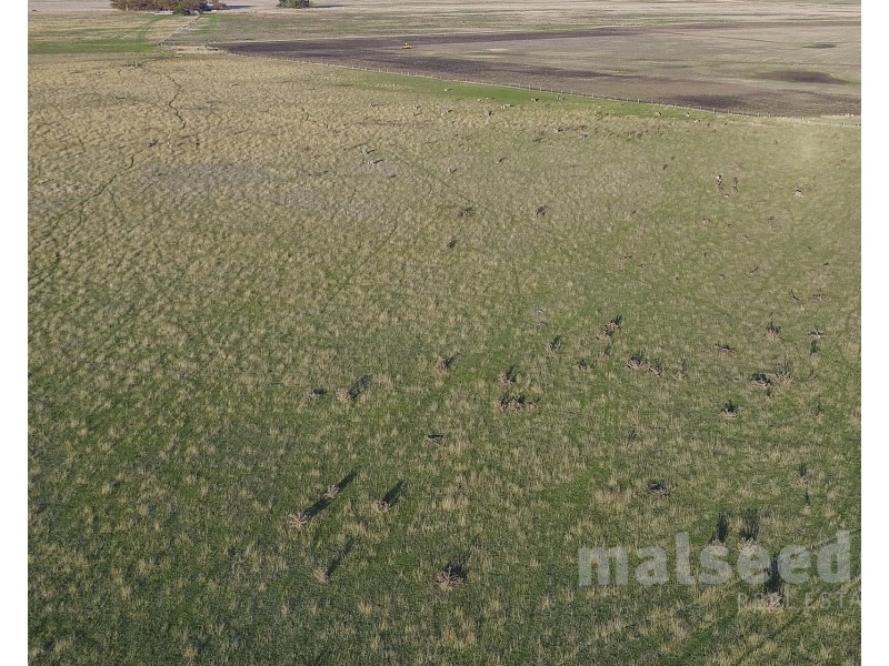 Kongorong – Tantanoola Road, Tantanoola SA 5280