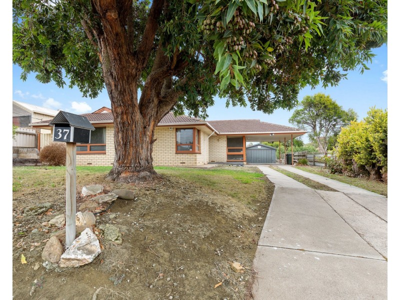 37 Davison Street, Mount Gambier SA 5290