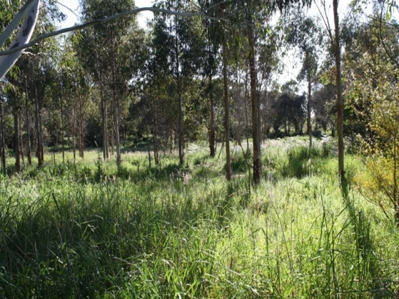 Sec1 Ca4 | Cnr Princes Hwy & Ridge Road, Mumbannar VIC 3304