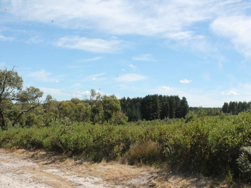 Lot 781 Denton Road, Millicent SA 5280