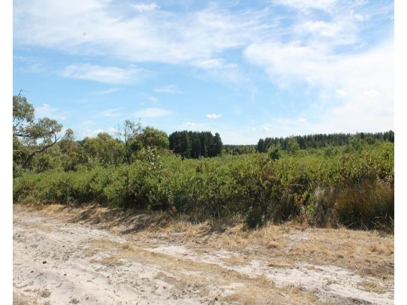 Lot 778 Pistol Club Road, Millicent SA 5280