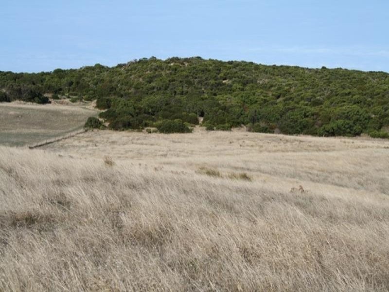 125-126 Smith Road, Port Macdonnell SA 5291