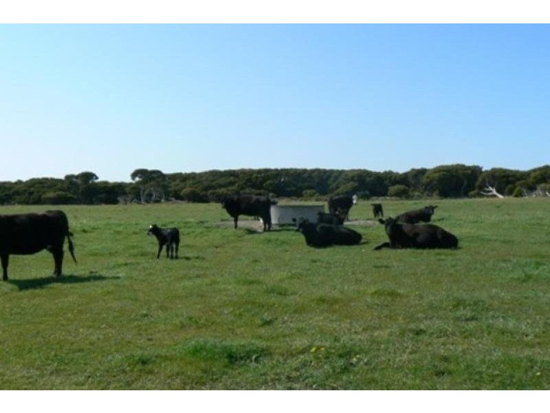 Lot 10 Bog Lane, Beachport SA 5280