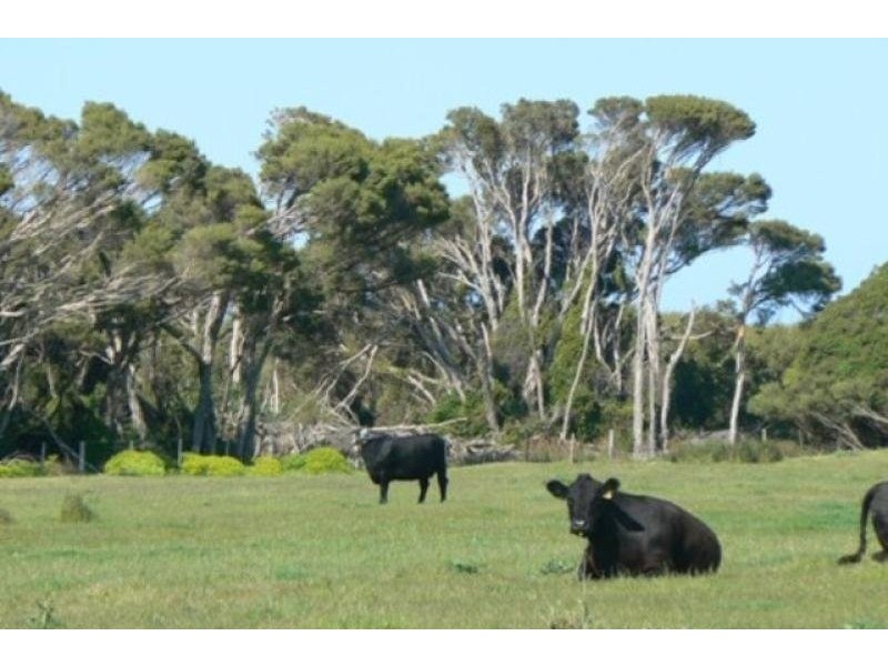 Lot 10 Bog Lane, Beachport SA 5280