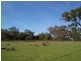 Edenhope Road, Coleraine VIC 3315