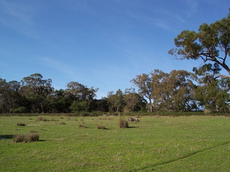 Edenhope Road, Coleraine VIC 3315