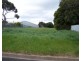 Lot 114, 114 Emily Street, Millicent SA 5280